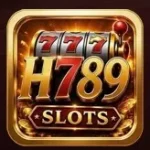 H789 Game