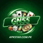 GN 55 Game