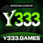 Y333 Game